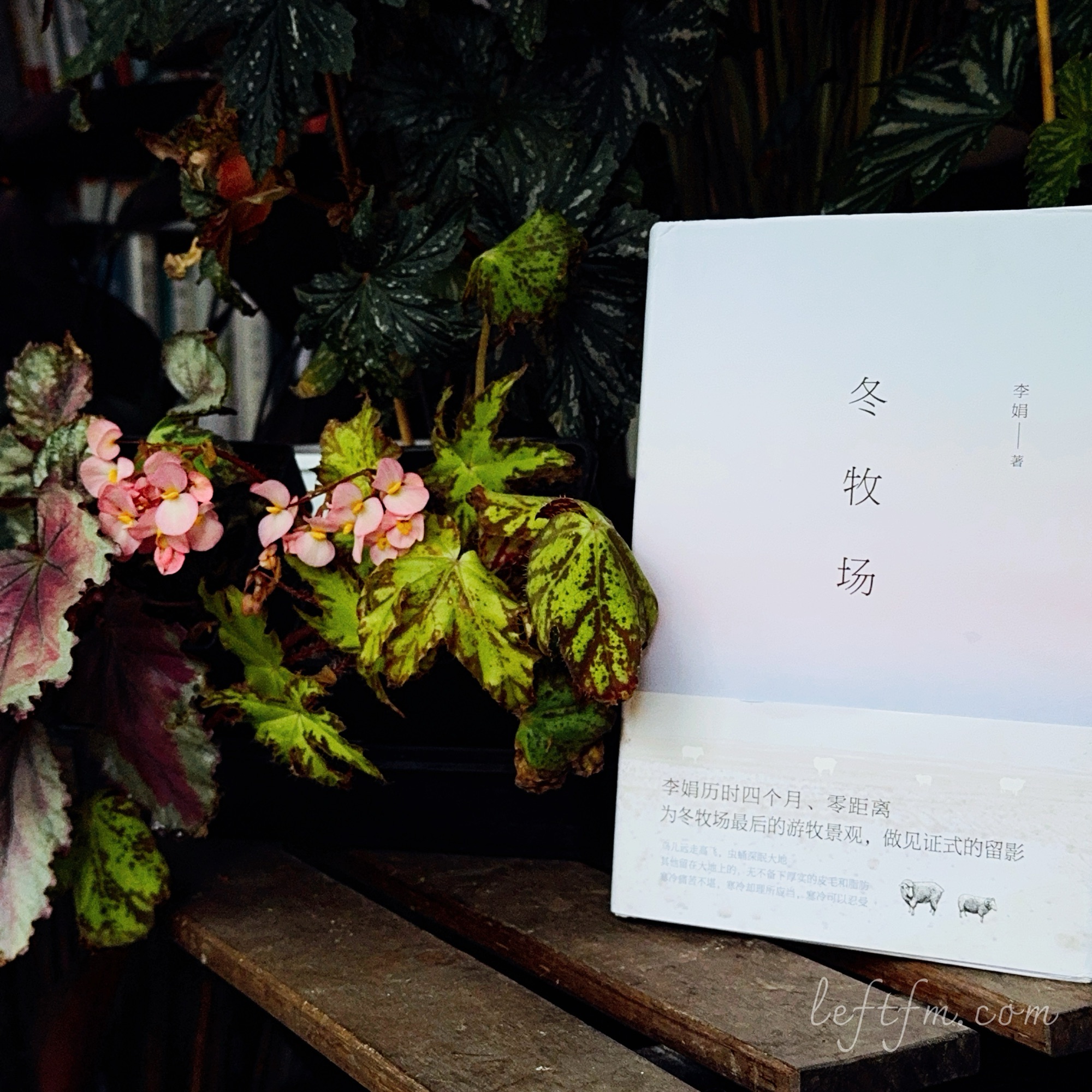 冬牧场：答案永远都在实践与书写里面