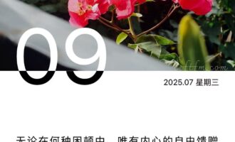 无所求，便是一个人最大的自由