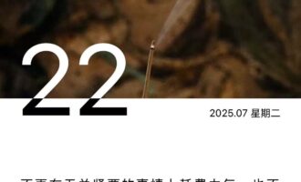 如果你有一位完美且偏执的领导……