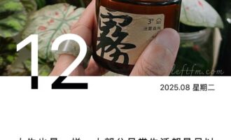 一代又一代，怀抱遗憾艰难地走了出来