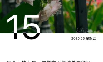 总有一记回旋镖，此刻朝着眉心杀过来