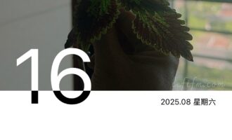 真的是看麻了，只能用这两句消解荒唐