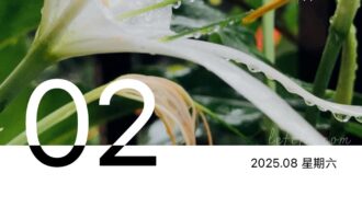 麻绳专挑细处断，傻子先把立豆当？