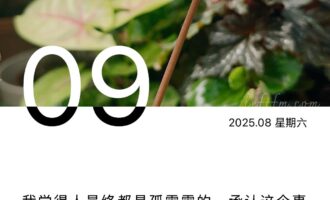 不抱什么期待，也许才能更为接近真相
