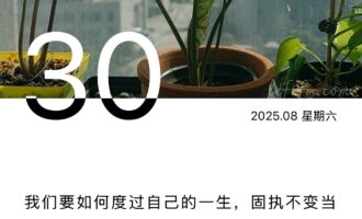 人生不过是大闹一场，然后悄然离去