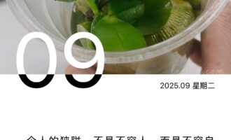 其实也不难的，大不了死马当作活马医