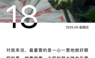 既是你的退避之所，也是你的星河宇宙