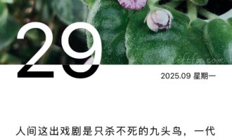 人间这出戏剧，是只杀不死的九头鸟