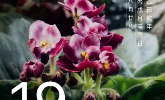 也好过吃了“闭门羹”，还要“学做人”