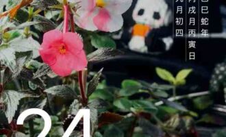 再见爱人5，姐姐你还是吃点好的吧！