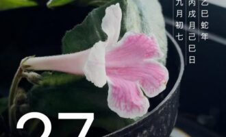 一颗苍老的心，如此一点点磨出茧子来