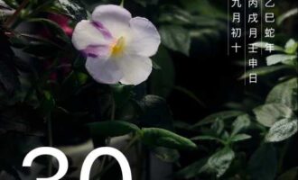 在记忆的最深处，有一盘凉掉的大黄鱼