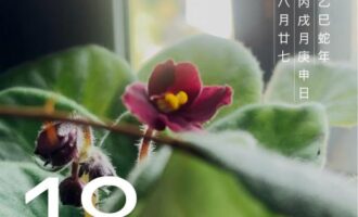 遗憾难免，眼下破解之法大概只剩苟住