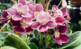 苦夏已过，秋凉送还“花漾工位”