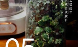 怼 “一看全会”的，最管用就一句“你来”