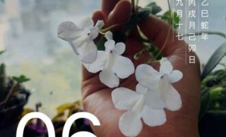 人也得有这个命，才能咽得下这些个饼