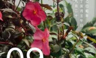 物欲难戒，要先断了“不过一杯奶茶钱”