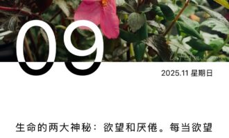 物欲难戒，要先断了“不过一杯奶茶钱”