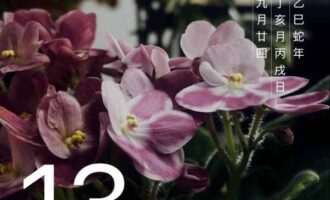 多少有点的情商，绝大部分场合用不上