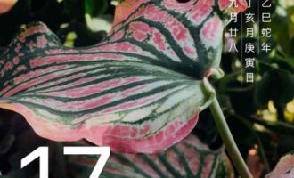 不跟自己较劲，保持住圆融澄明的心境