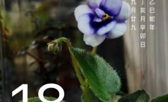 成本核算，还得看看精力能否负荷得起