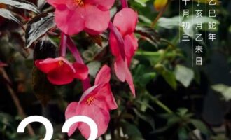 今天讲个故事，明年再回头看看灵不灵