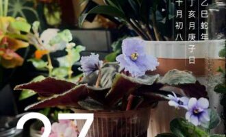 看多了“一眼AI”，觉得这饭碗还挺瓷实