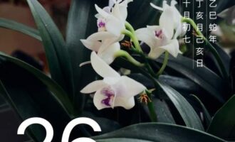 时而像个草台班子，时而像部精密仪器