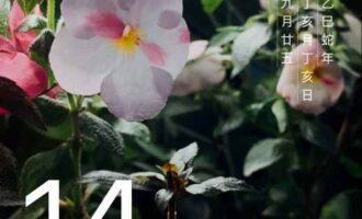 将志趣移去别处，人生或许会少些痛苦