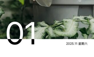 职场留痕，不能为了搞事只能为了自保