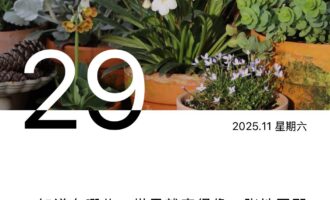 绽放各自光华，本就不在同一条赛道上