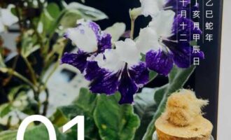 人手本来就不够，还要在节骨眼上添乱