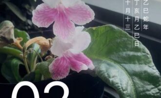 比起夏天，冬天更容易看出阶层差距