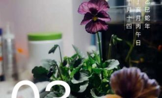 已经“烦不了”，那么也就“不要再烦了”