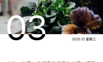 已经“烦不了”，那么也就“不要再烦了”