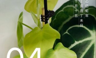 该“砍头”的时候，别顾虑太多下不了手