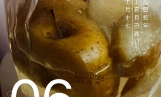 关系不算密切，却像候鸟知返般有牵念