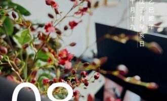 顾好自己就不错了，能当中流砥柱用？