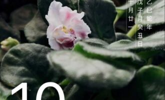 如果没什么事，就此打住不要再尬聊了