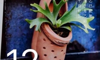 是什么不重要，重要的是一眼就能看到