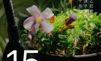 图什么呢？就图“有想法”“没办法”吗？