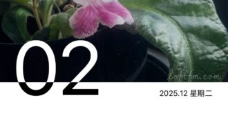 只要自己不在意，谁又会在意那些细节