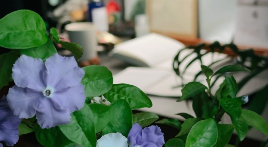 假期没有出远门，就看看书听听音乐虚度了这光阴